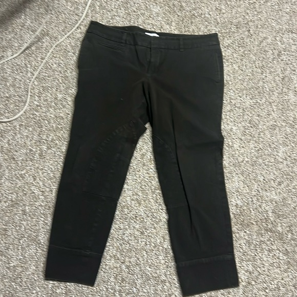 Ann Taylor Loft /Julie riding pants - Picture 2 of 11